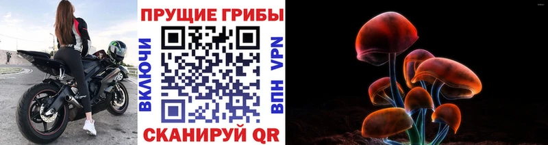 Псилоцибиновые грибы ЛСД  Катайск 